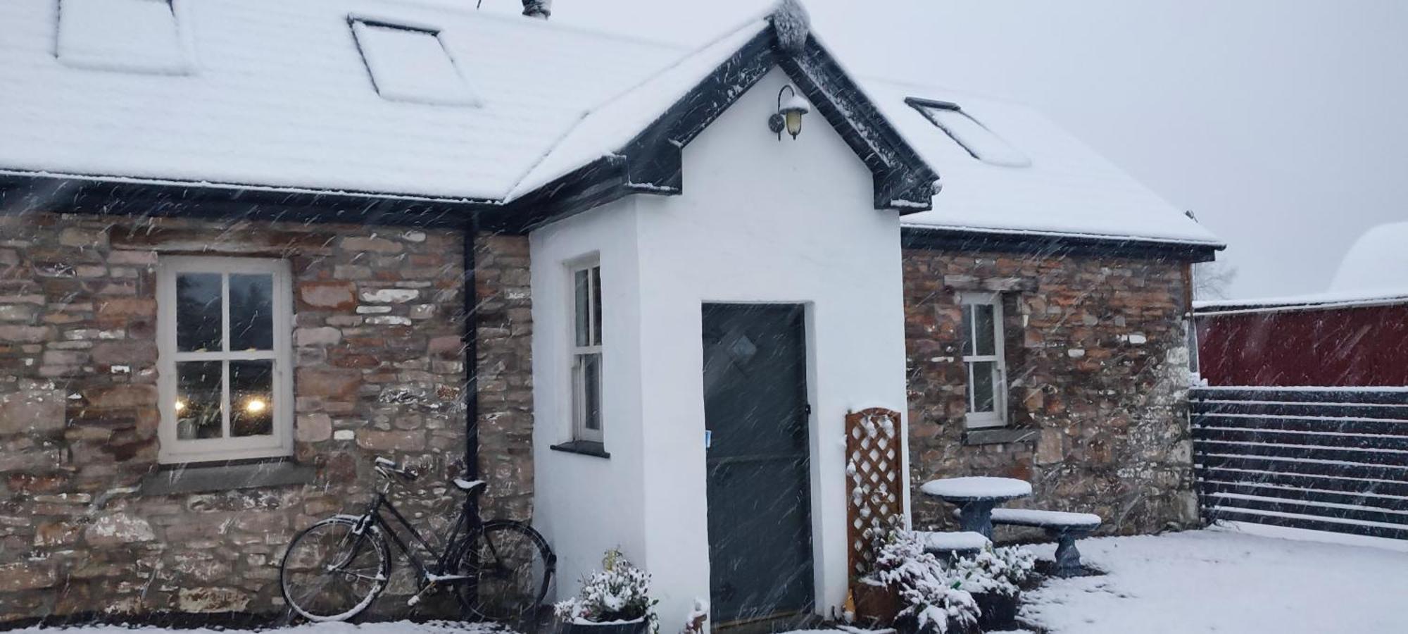 The Old House At Belfield Villa Tralee Kültér fotó